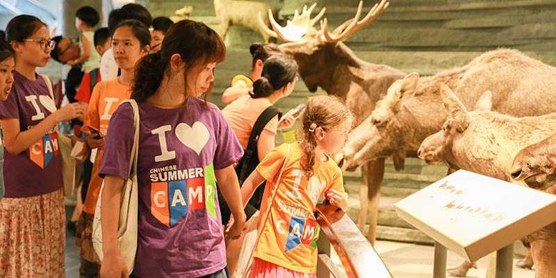 National Museum of Natural Science | Field Trips at Chinese Summer Camp